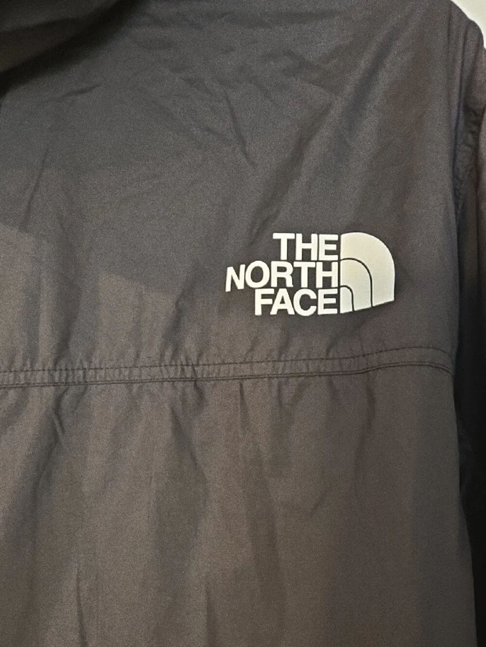 TheThe North Face Hydrenaline Hooded Windbreaker Jacket